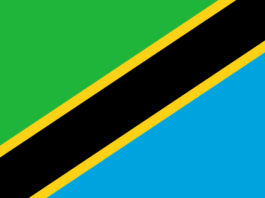 Tanzania Flag